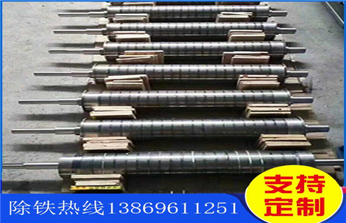 浙江永磁辊式开云在线（中国）